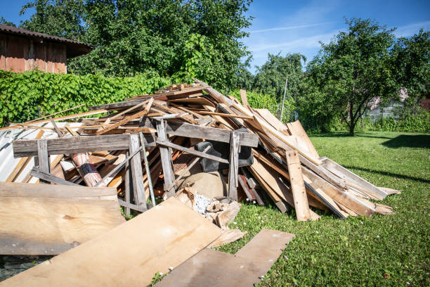 Best Shed Removal  in Trenton, MI